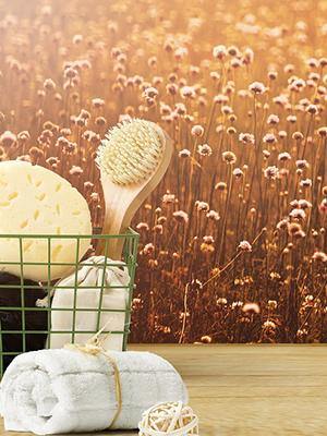 Dry Brushing Ritual by Valerie Bennis - My Spa Shop