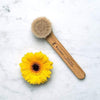 Province Apothecary Daily Glow Facial Dry Brush - My Spa Shop